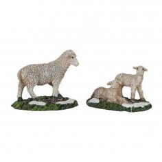 Sheep and lamb Luville